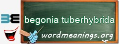 WordMeaning blackboard for begonia tuberhybrida